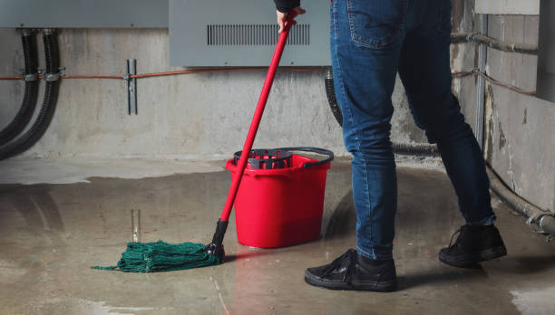 Best Flood damage cleanup  in Virginia Gardens, FL