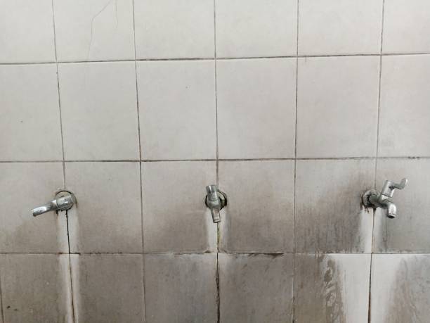 Best Carpet water damage restoration  in Virginia Gardens, FL