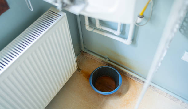 Best Flood restoration services  in Virginia Gardens, FL