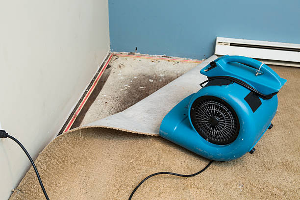 Best Water damage restoration near me  in Virginia Gardens, FL